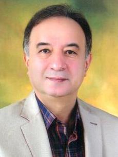 مهندس زرین نژاد