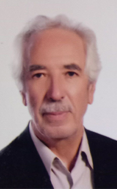 مجتبی محبی مهر